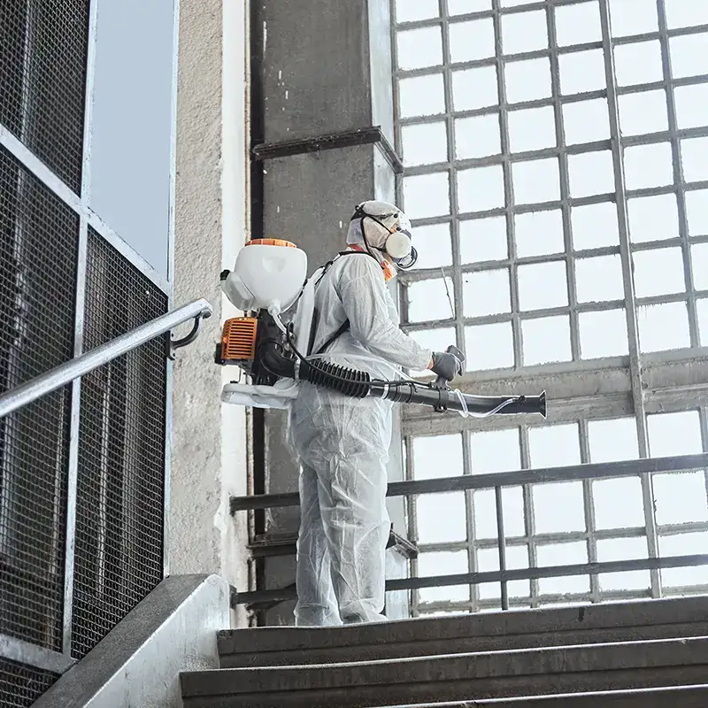 deratt-disinfezioni-fumigazioni