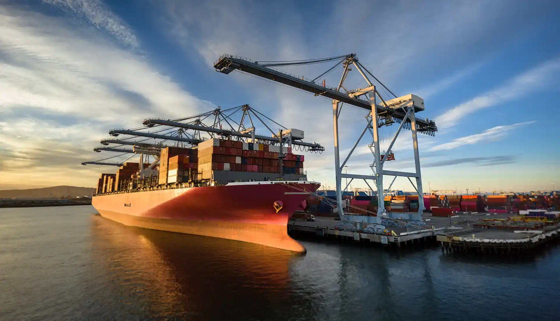 deratt-system-fumigazioni-professionali