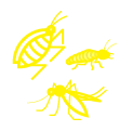 Hover Image